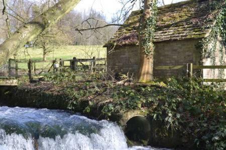 Swan Cottage Cirencester Bagian luar foto